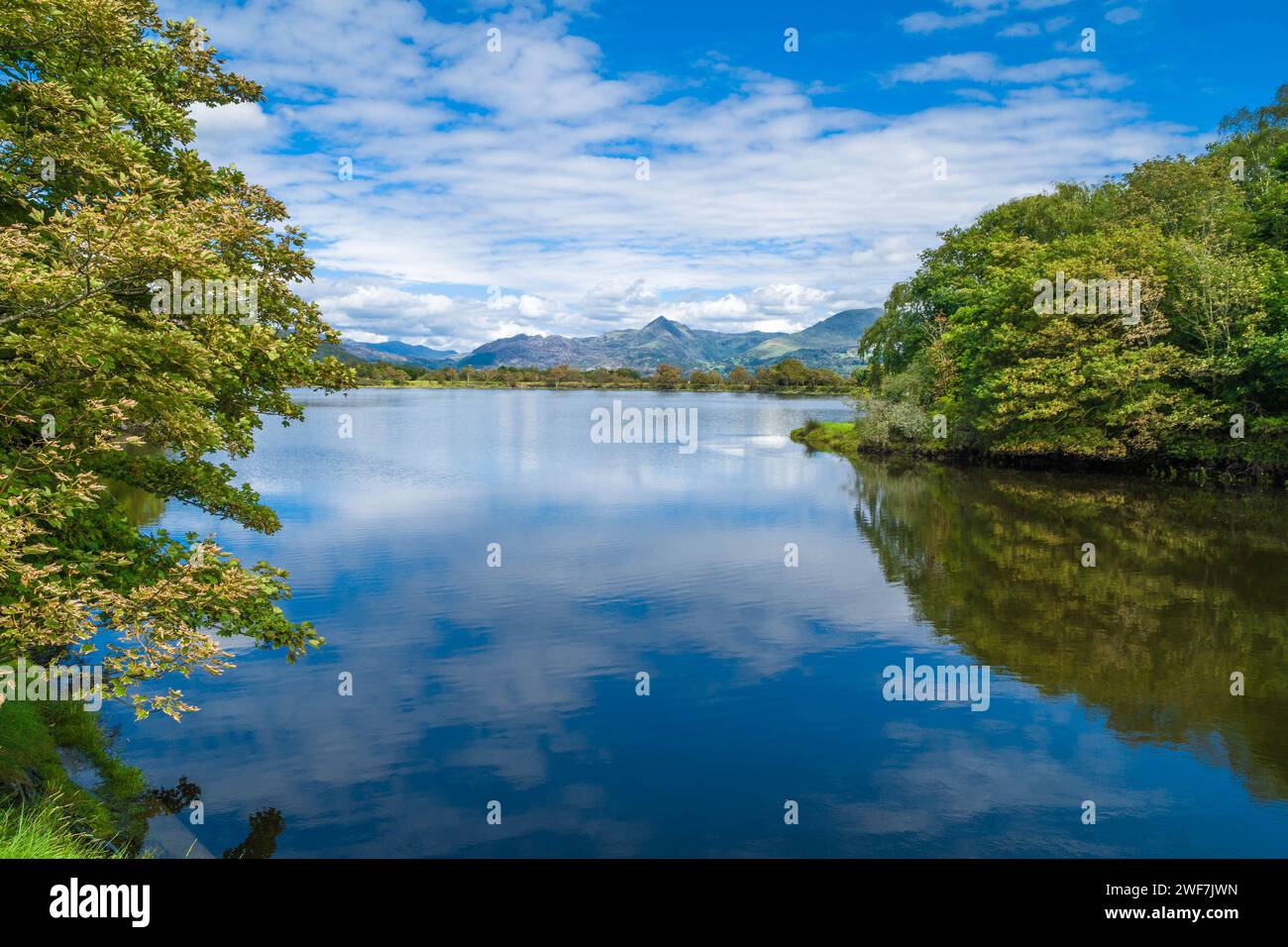 View across Glaslyn river towards the Moelwyn Mountains from Porthmadog North Wales UK. August 2020 Stock Photo