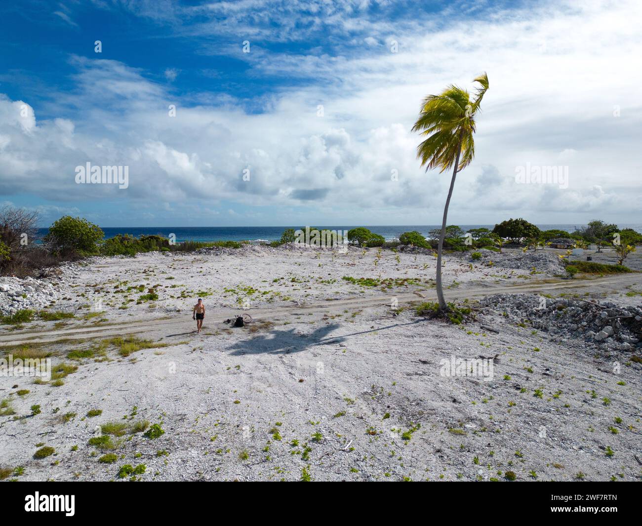 lone drone operator on coral atoll next to solitary palm tree, PK 9 Beach Stock Photo