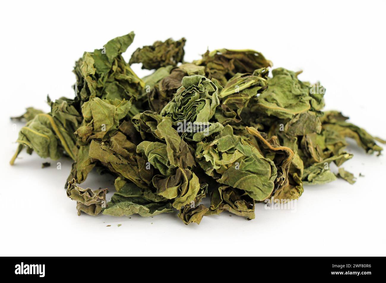 Dried fig leaves on white background. Studio shot. Stock Photo