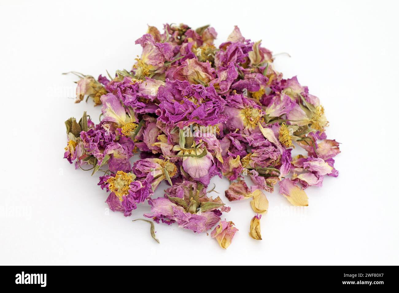 Studio shot of dry rose petals tea on white background. Selektive focus. Stock Photo