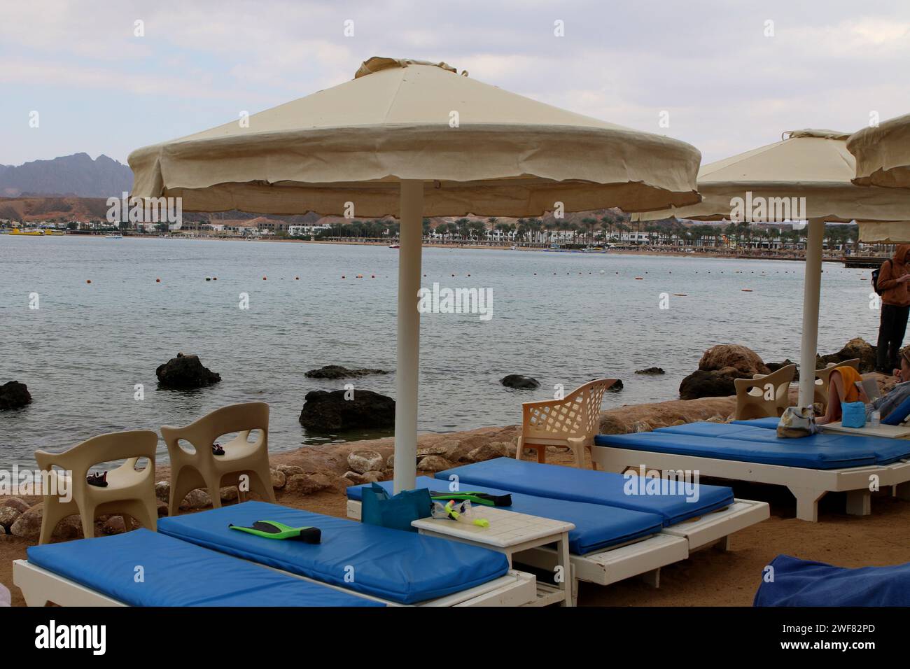 sharm el sheikh live cam