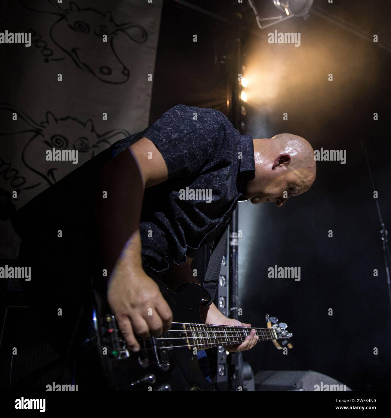 Martyn Walsh playing bass guitar for the Inspiral Carpets reunion Manchester comeback at Band on the Wall on 7th June 2014 Stock Photo