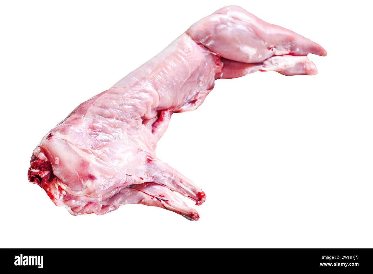 Whole raw rabbit Isolated on white background. Top view Stock Photo