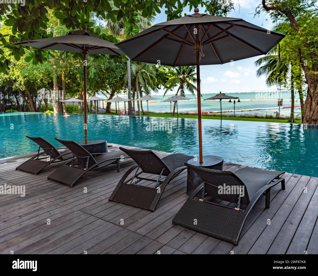 The poolside reclining chairs by the pool at the beach Stock Photo Alamy — free download