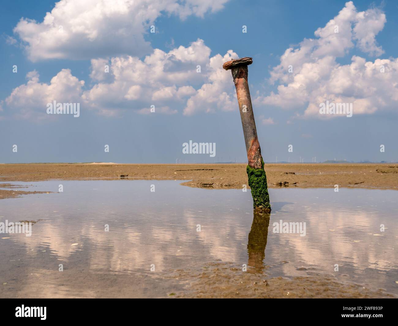Rusted iron pole in puddle on mudflat at low tide near nature reserve Kwade Hoek, Slijkgat inlet, Zuid-Holland, Netherlands Stock Photo