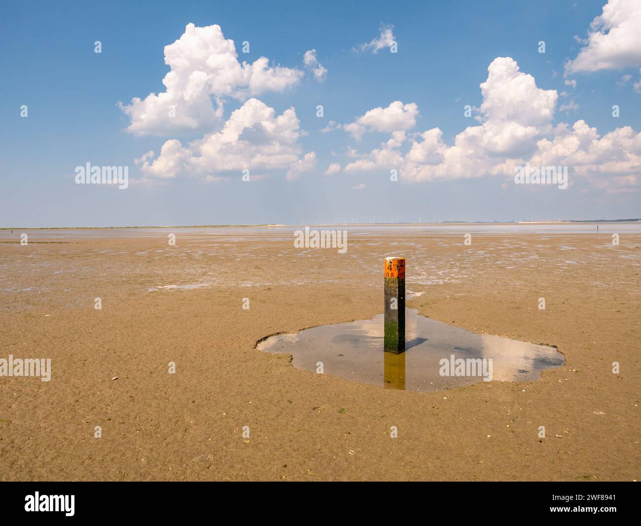 Wooden beach pole with red top in puddle at low tide - distance marker along basic coastline indicating tide line of North Sea, Goeree, South Holland, Stock Photo