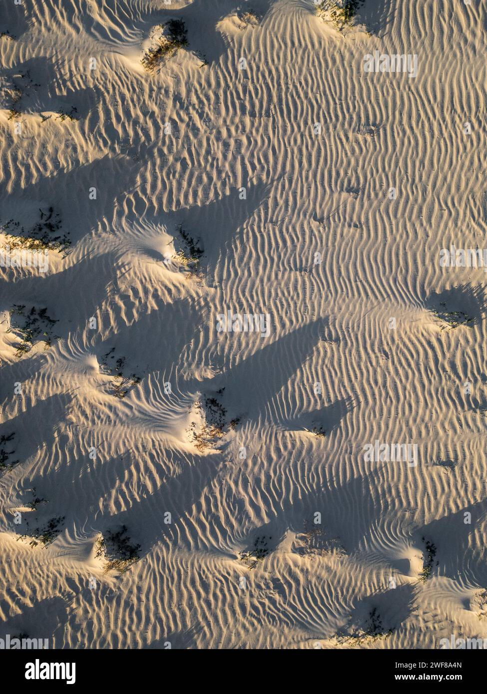 Wf Patterns Close up view of light and shadow patterns hi-res stock photography and ...