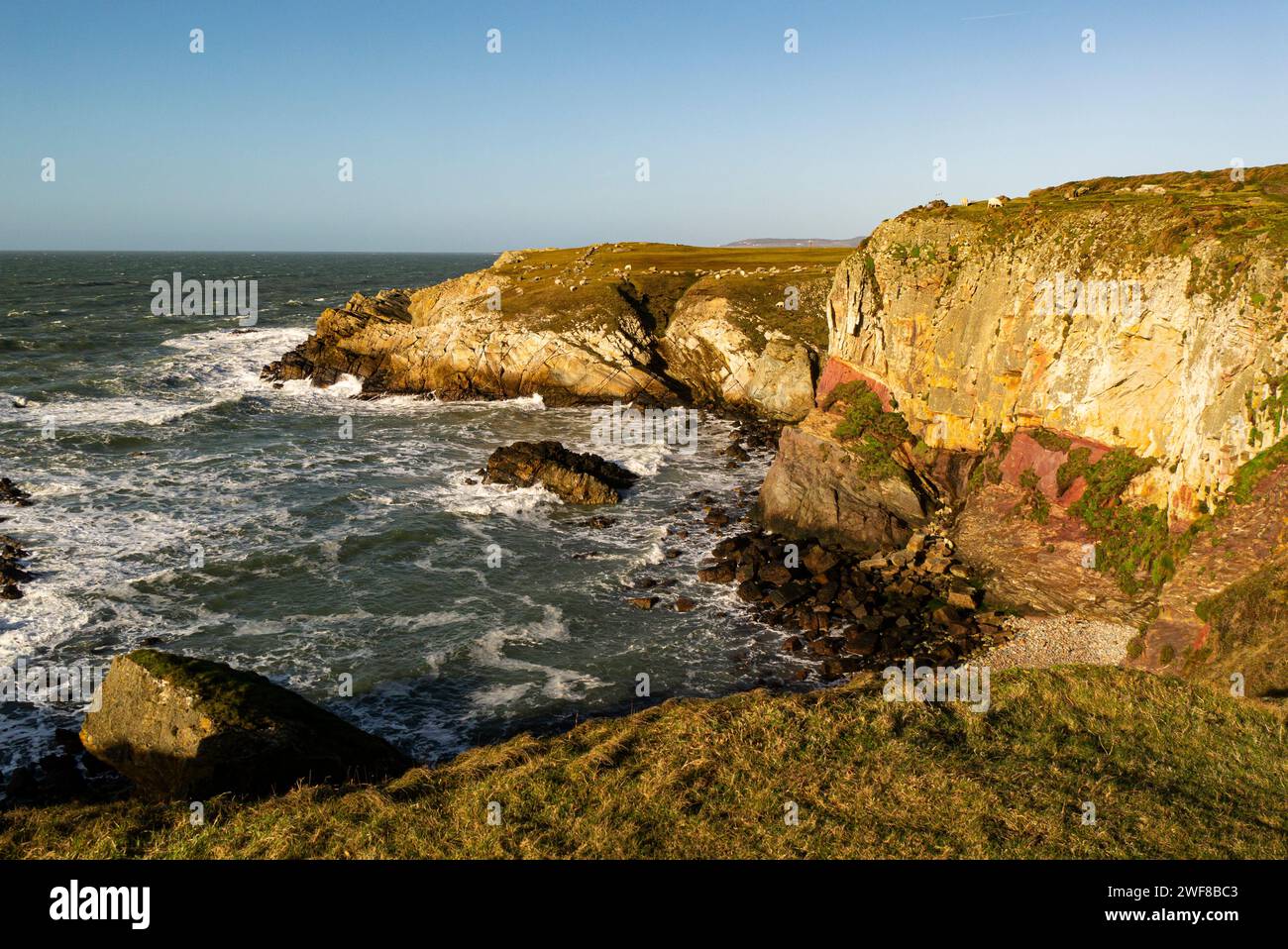 Porth saint rhoscolyn ynys mon north wales uk hi-res stock photography ...