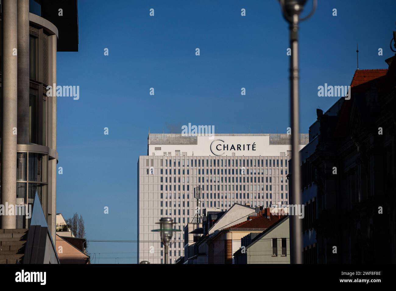 jobs in der charite