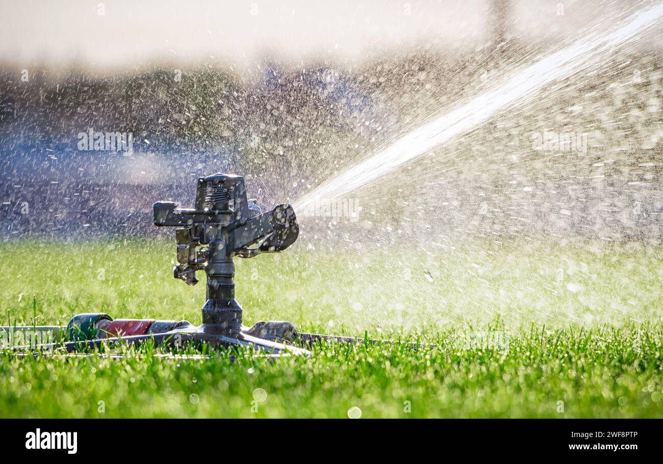 Automatic sprinkler system watering the lawn. close-up. Green grass ...
