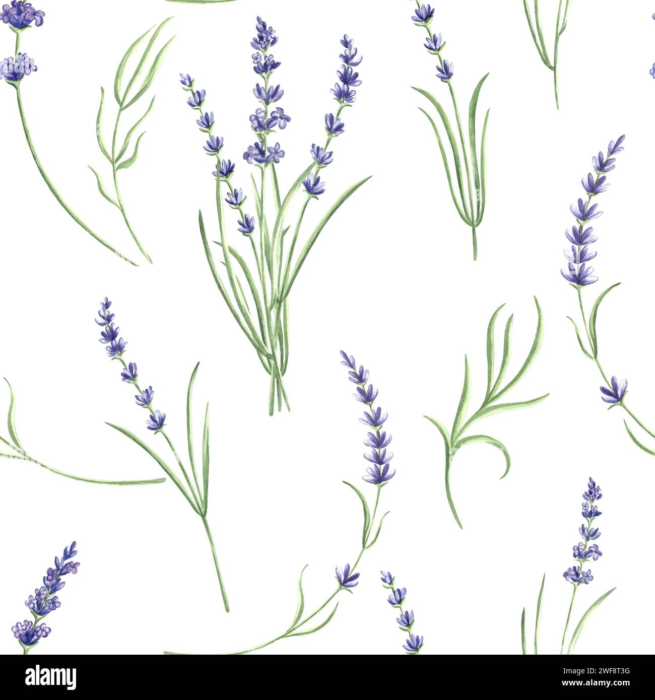 Seamless pattern with purple lavender flowers. Watercolor hand drawn ...