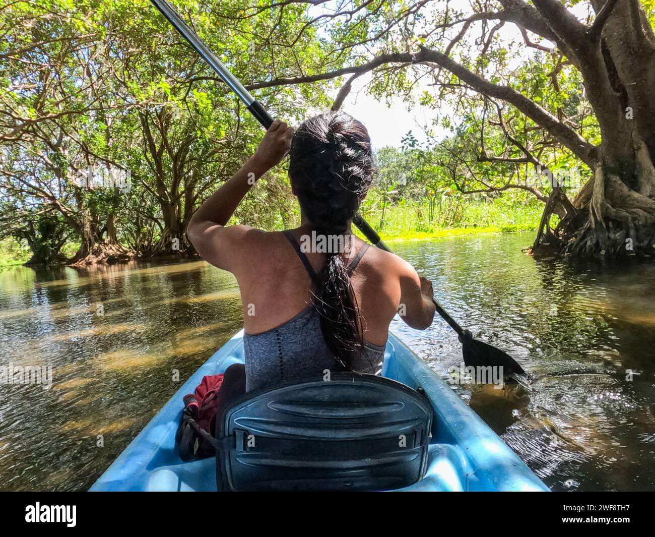 Kayaking the Rio Istian, Ometepe Island, Nicaragua Stock Photo
