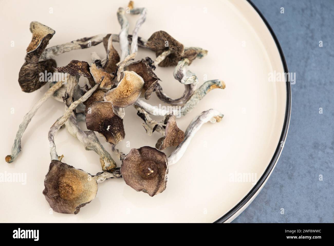 A number of dried mushrooms of the species Psilocybe cubensis Argentina lie on a beige plate.  On a gray background.  Alternative medicine, treatment Stock Photo