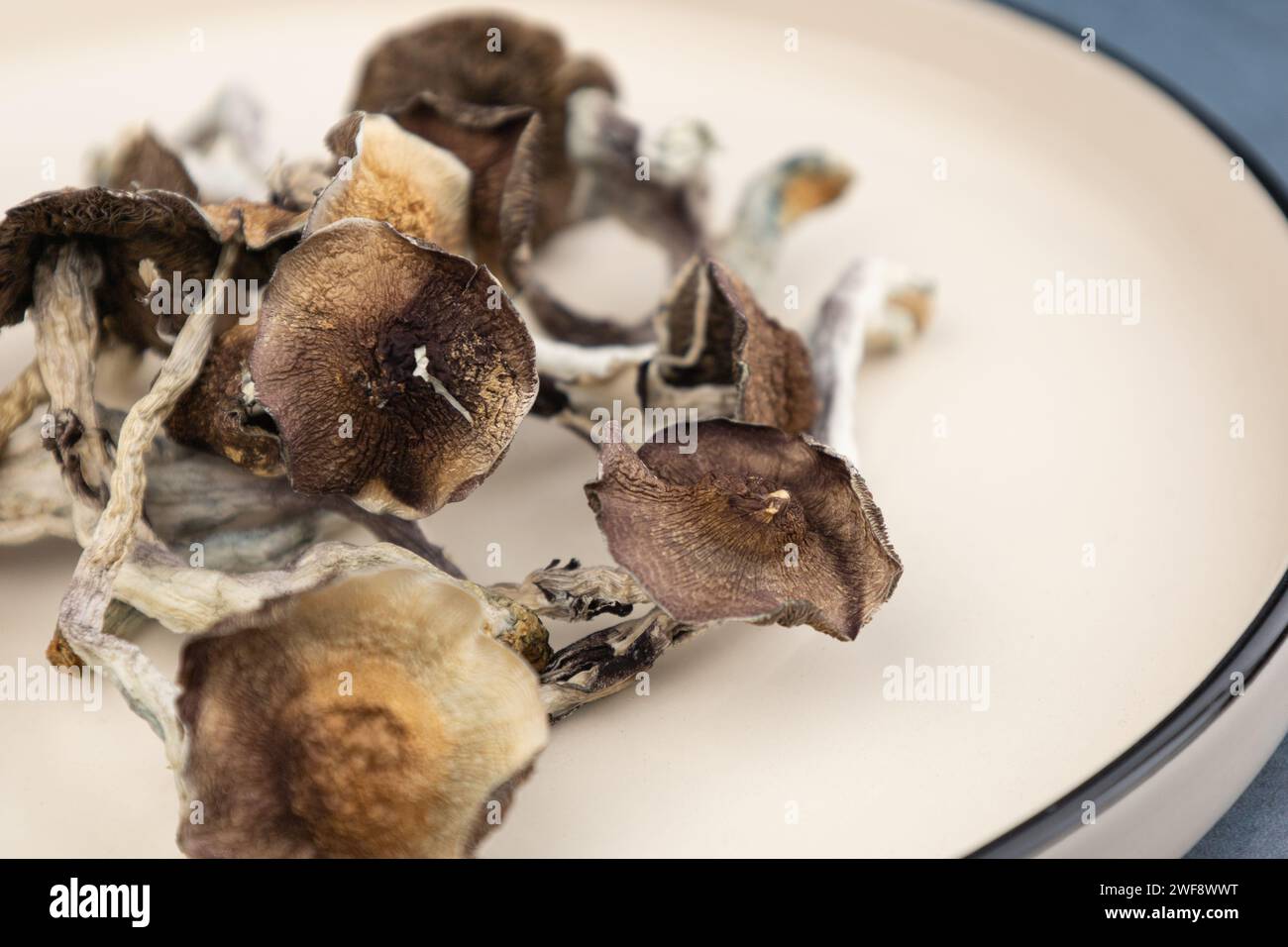 A number of dried mushrooms of the species Psilocybe cubensis Argentina lie on a beige plate.  On a gray background.  Alternative medicine, treatment Stock Photo