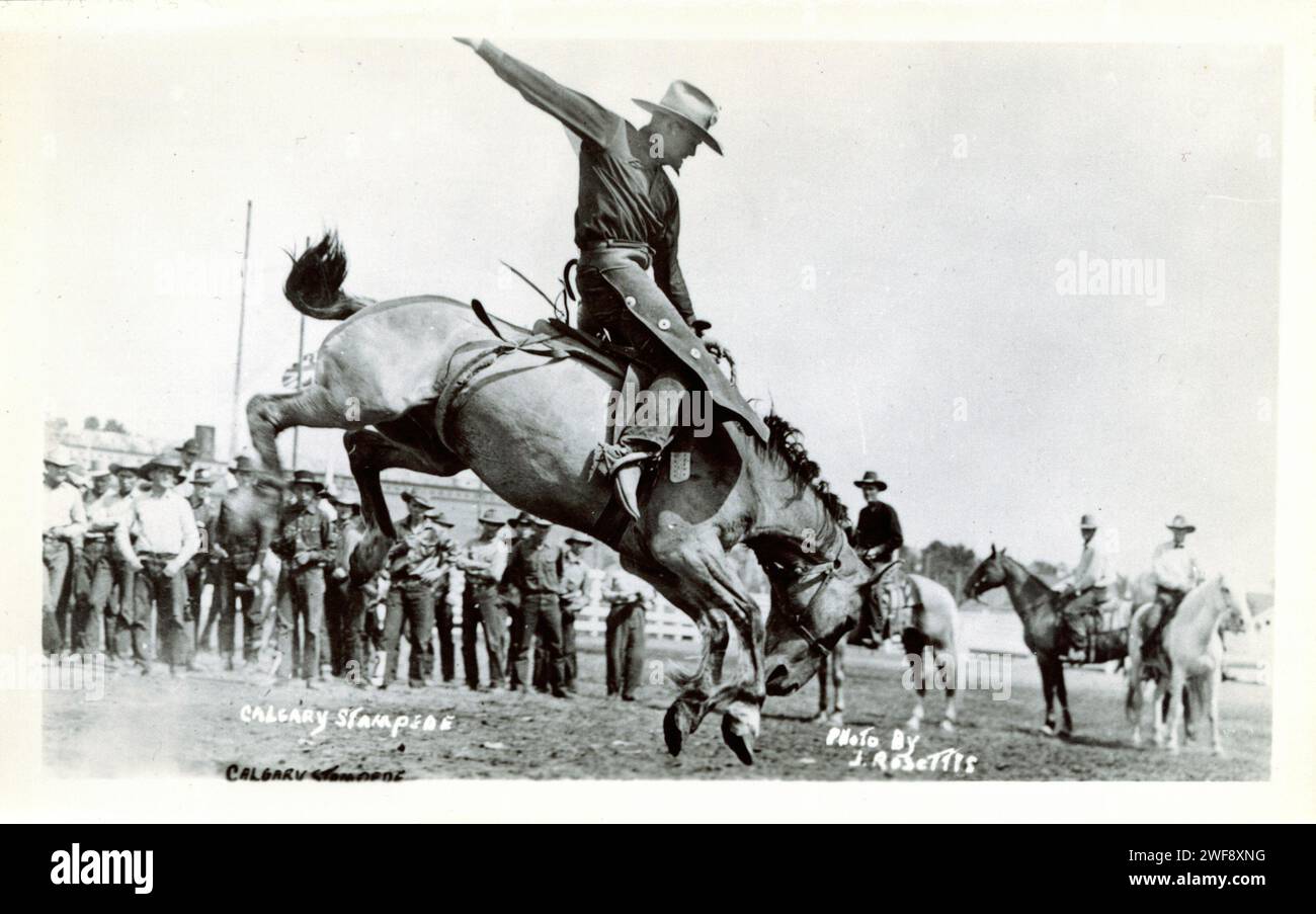 Canada photo postcard Russ Allen steer riding Calgary Stampede c.1920s Canada photo postcard Russ Allen steer riding Calgary Stampede c.1920s