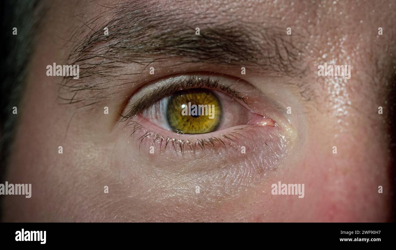 Human eye movement, opening and blinking of a male eye with brown iris, focusing on the camera