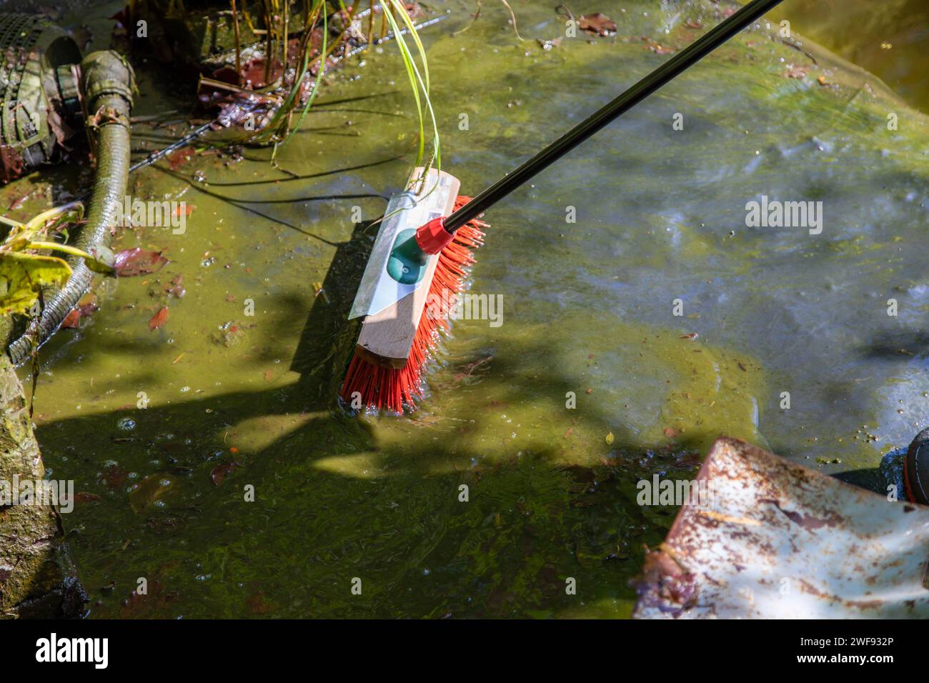Teich nach dem Winter mit einem Besen säubern Stock Photo