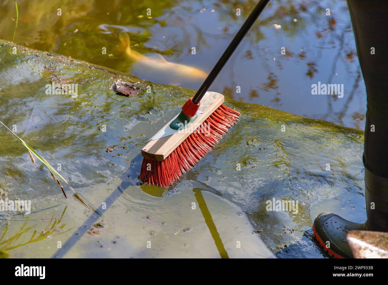 Teich nach dem Winter mit einem Besen säubern Stock Photo