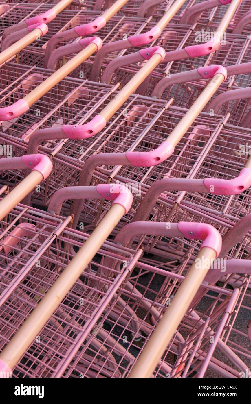 A group of numerous pink grocery carts arranged neatly in a row in a shopping center parking area. Stock Photo