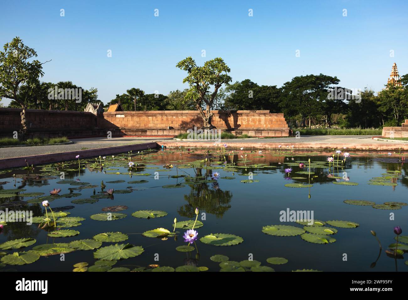 Harmonious colors hi-res stock photography and images - Alamy