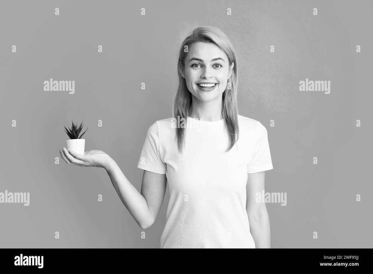 Young beautiful woman holding cactus pot over isolated blue background. Stock Photo