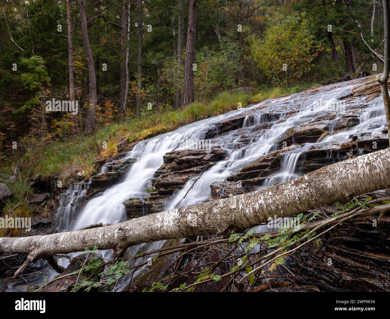 Long exposure waterfall with autumn colors Stock Photo