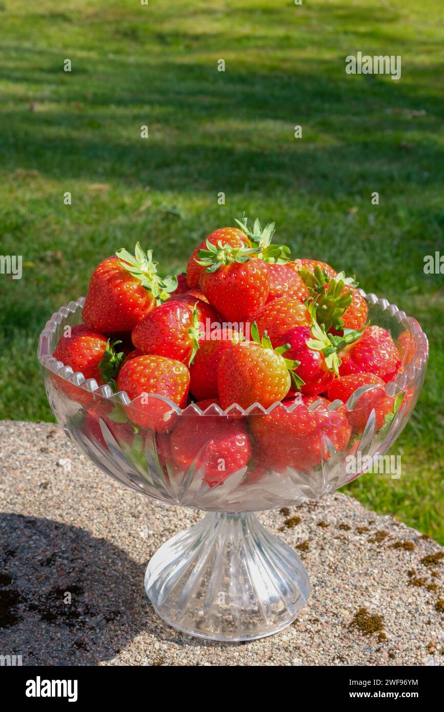 Strawberries glass hi-res stock photography and images - Alamy