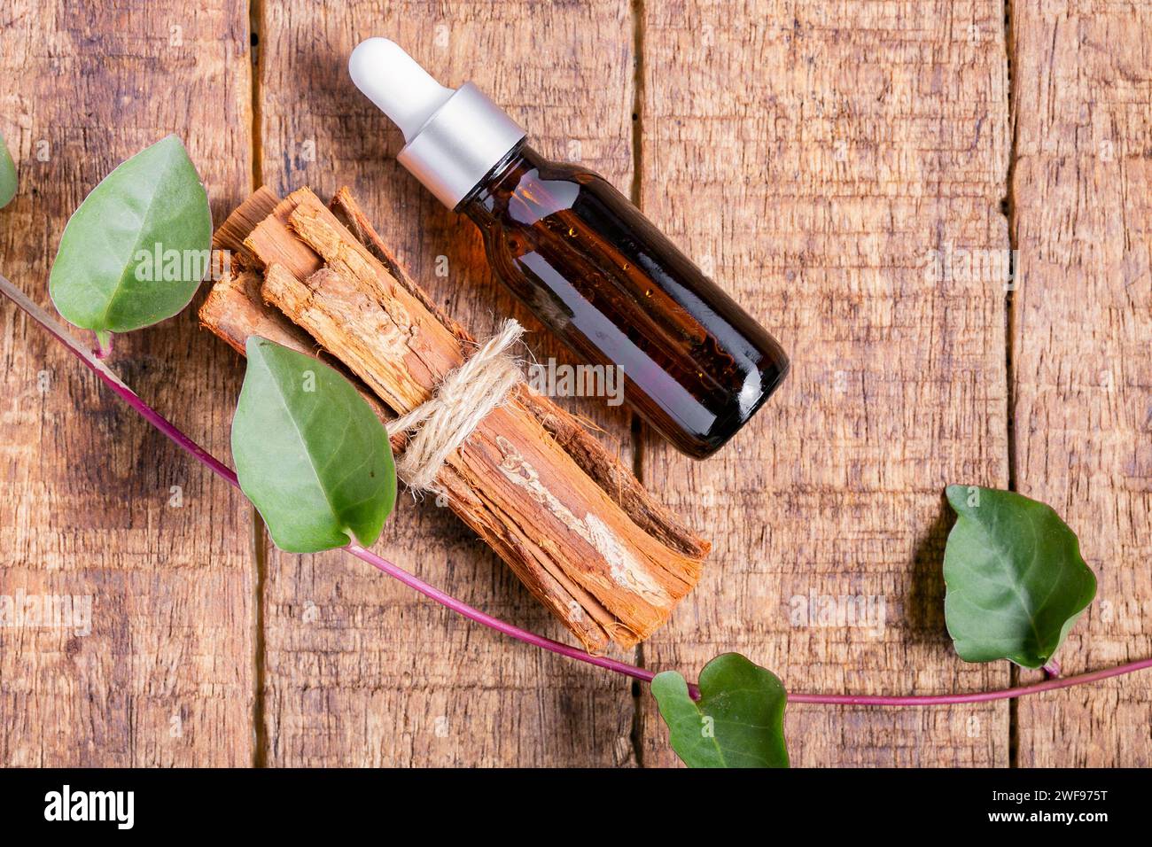 Plant Of Amazonian Origin Traditional Medicine Cat S Claw Stock Photo