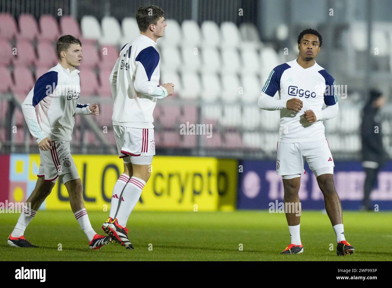 Halsema crypto (71) foto