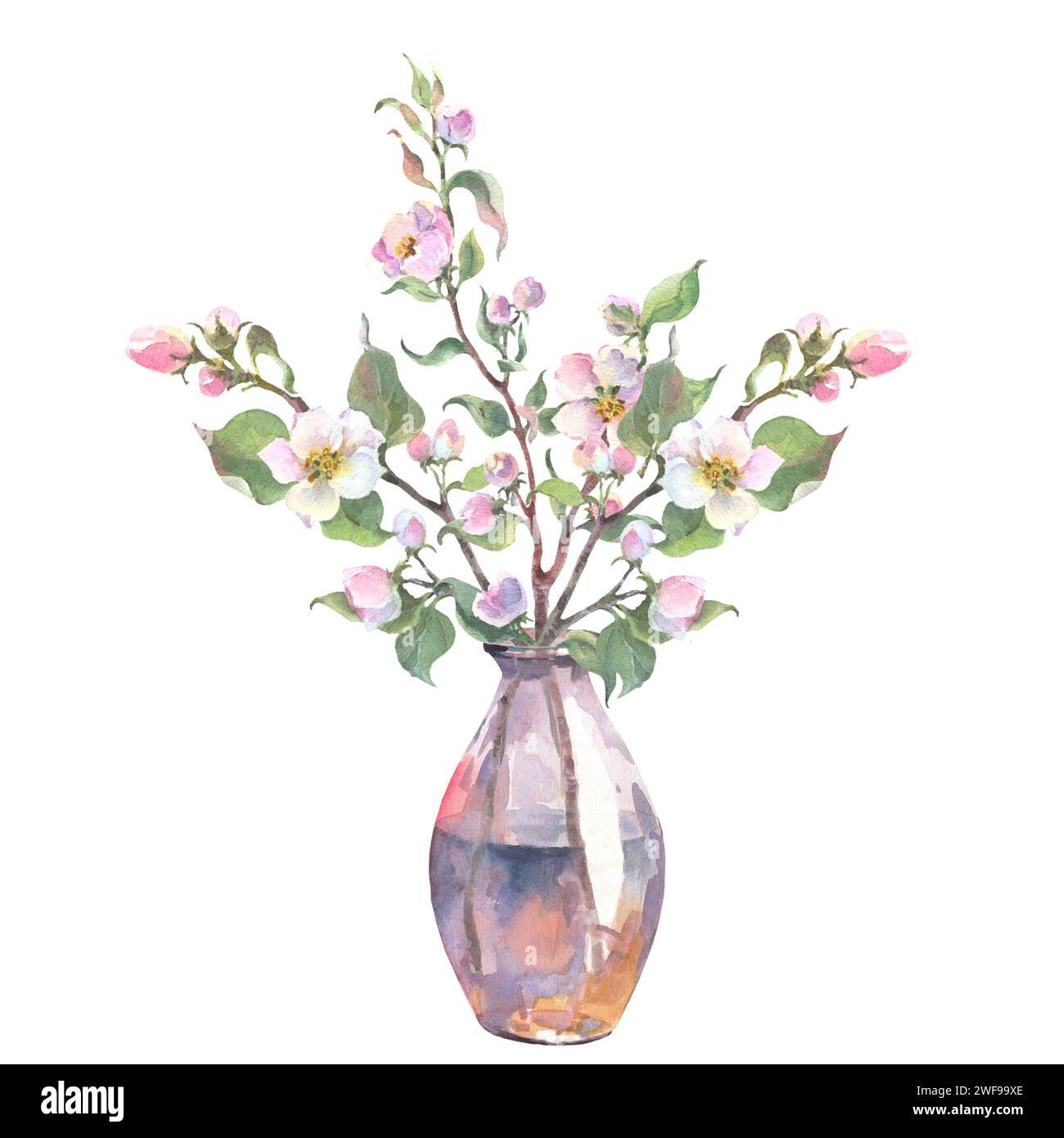 Watercolor apple tree branch and flowers in glass vase, blooming tree ...