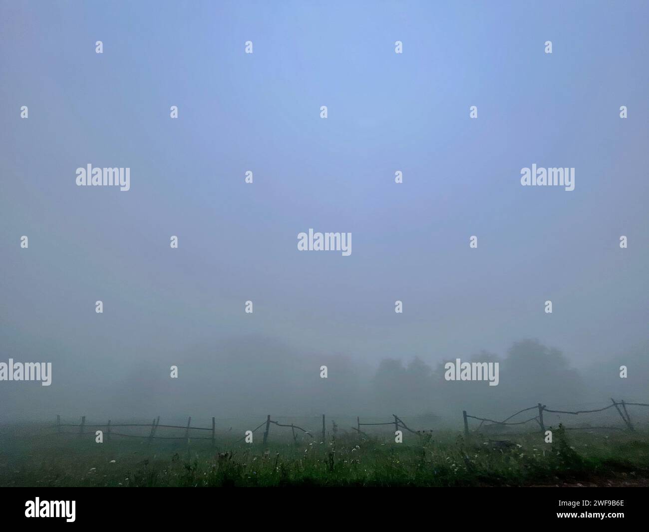 A person guiding a horse through a misty green field Stock Photo