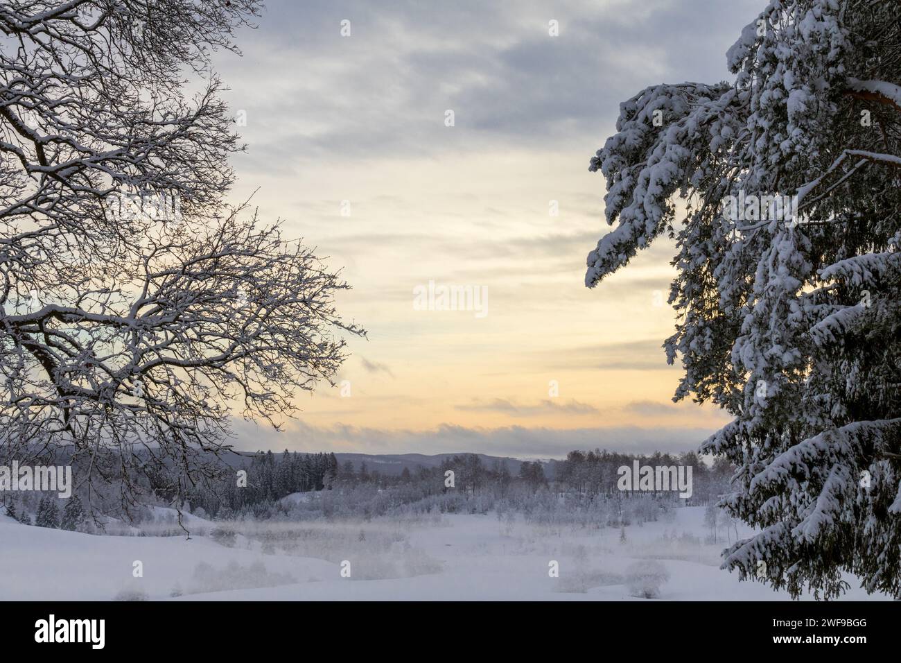 Winter's embrace, where vibrant hues dance in the cold, creating a picturesque canvas of tranquility and frozen beauty Stock Photo