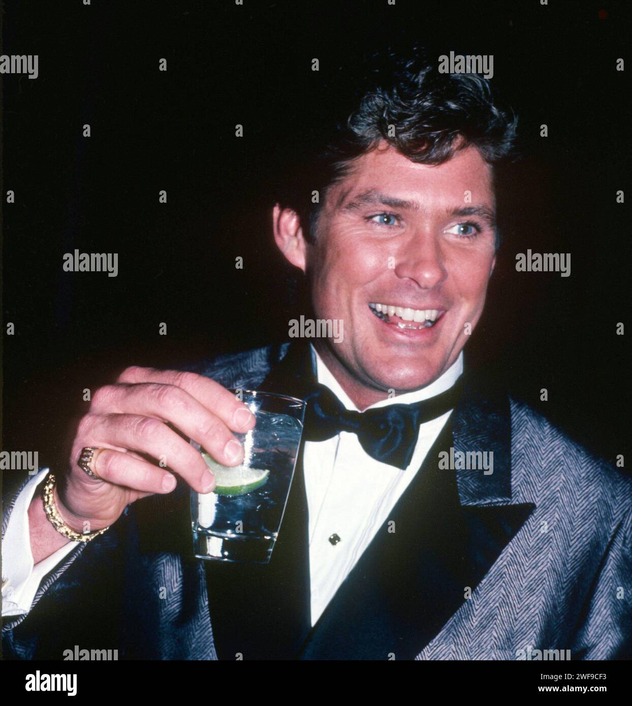 David Hasselhoff, 1985. ph: John Barrett/PHOTOlink/Courtesy Everett ...