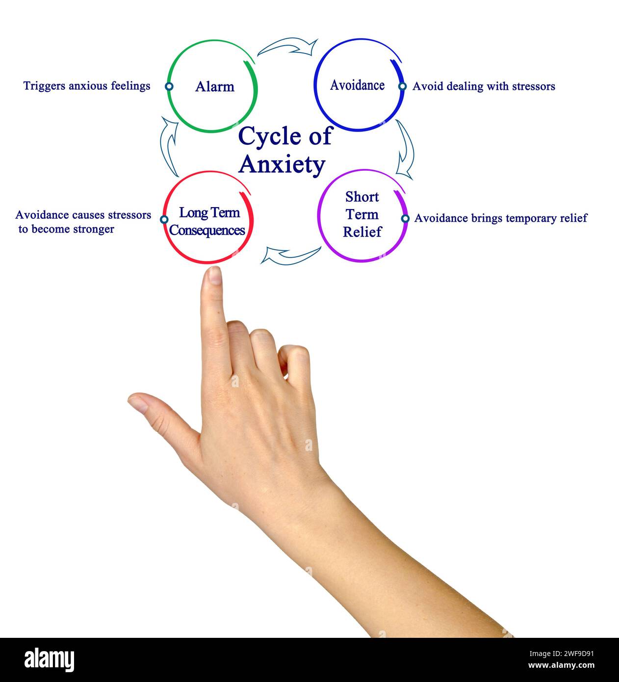 Components of Cycle of Anxiety Stock Photo - Alamy