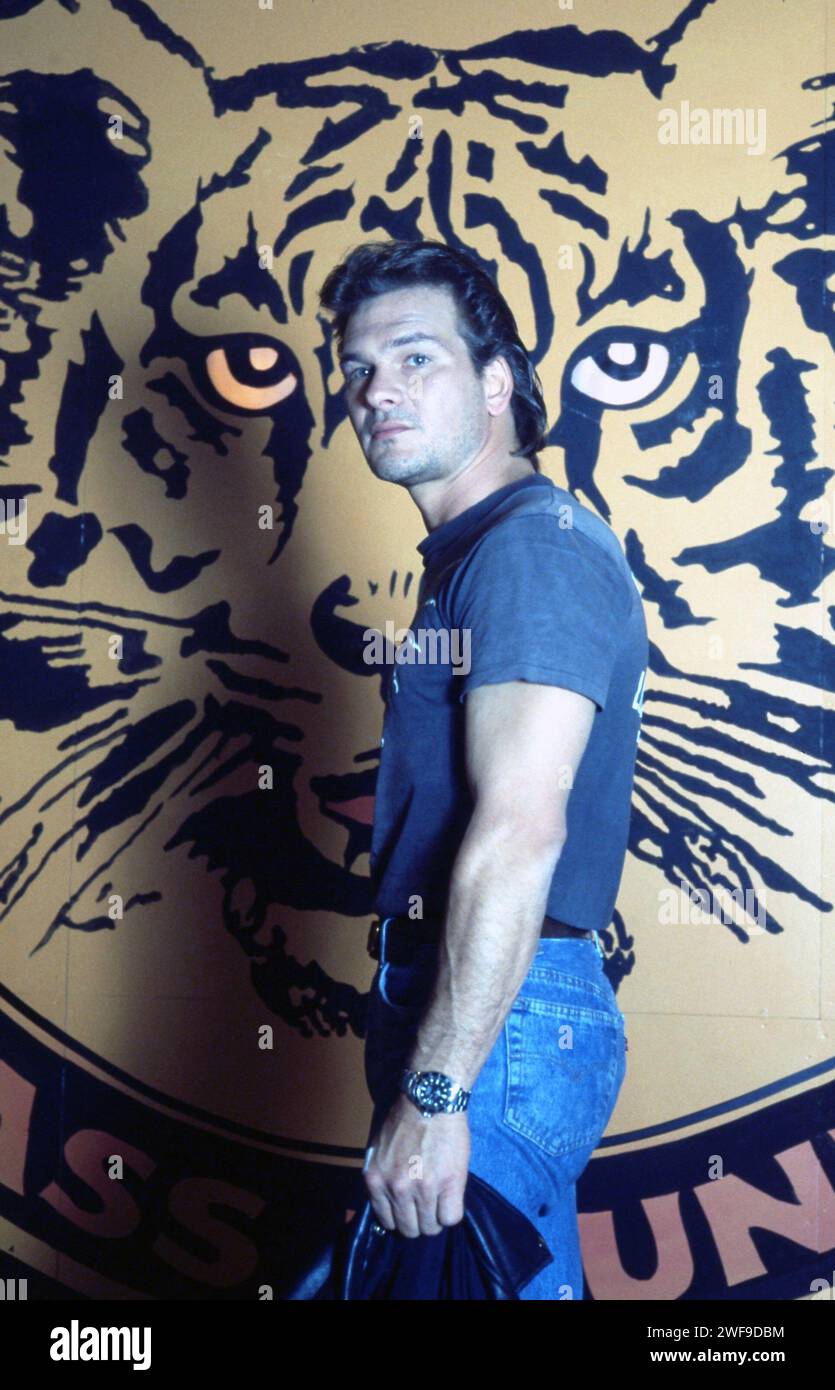 Tiger warsaw movie hi-res stock photography and images - Alamy