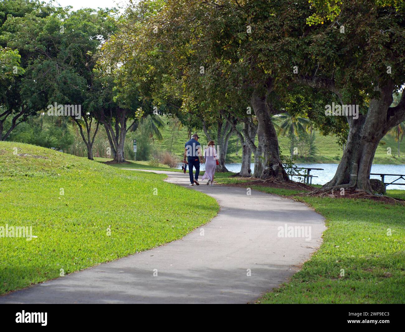 Couple walking in a park hi-res stock photography and images - Alamy