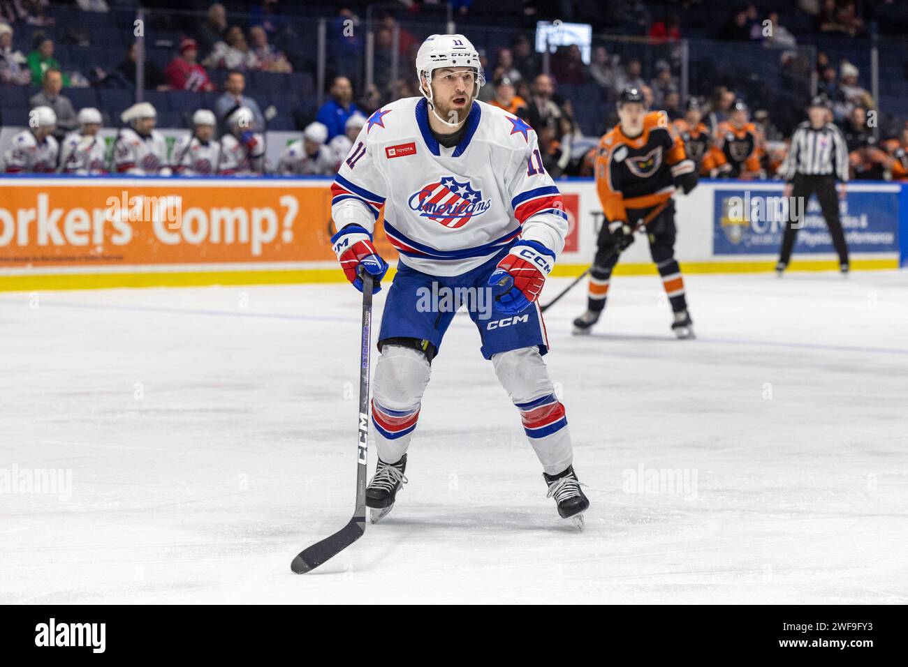 January 17th, 2024: Rochester Americans forward Lukas Rousek (11 ...