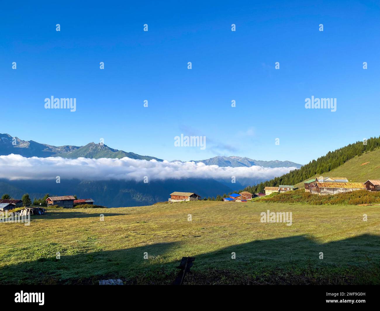 Turkey Rize Mountains Sal Plateau in Camlihemsin, this plateau located in Camlihemsin ...