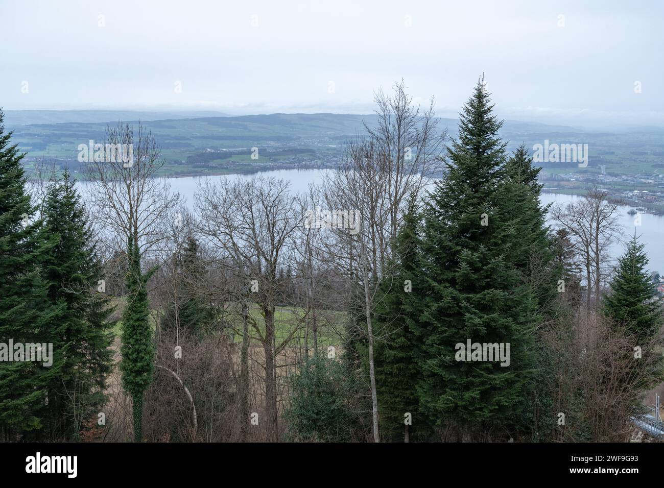 A view from Zugerberg of Zugersee lake next to Zug town in Switzerland Stock Photo