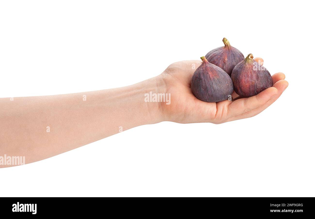 figs in hand path isolated on white Stock Photo
