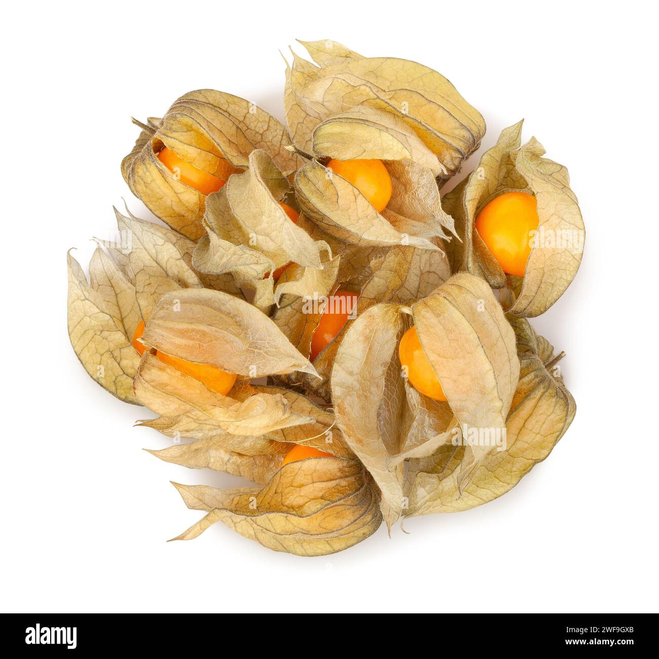 physalis heap path isolated on white top view Stock Photo