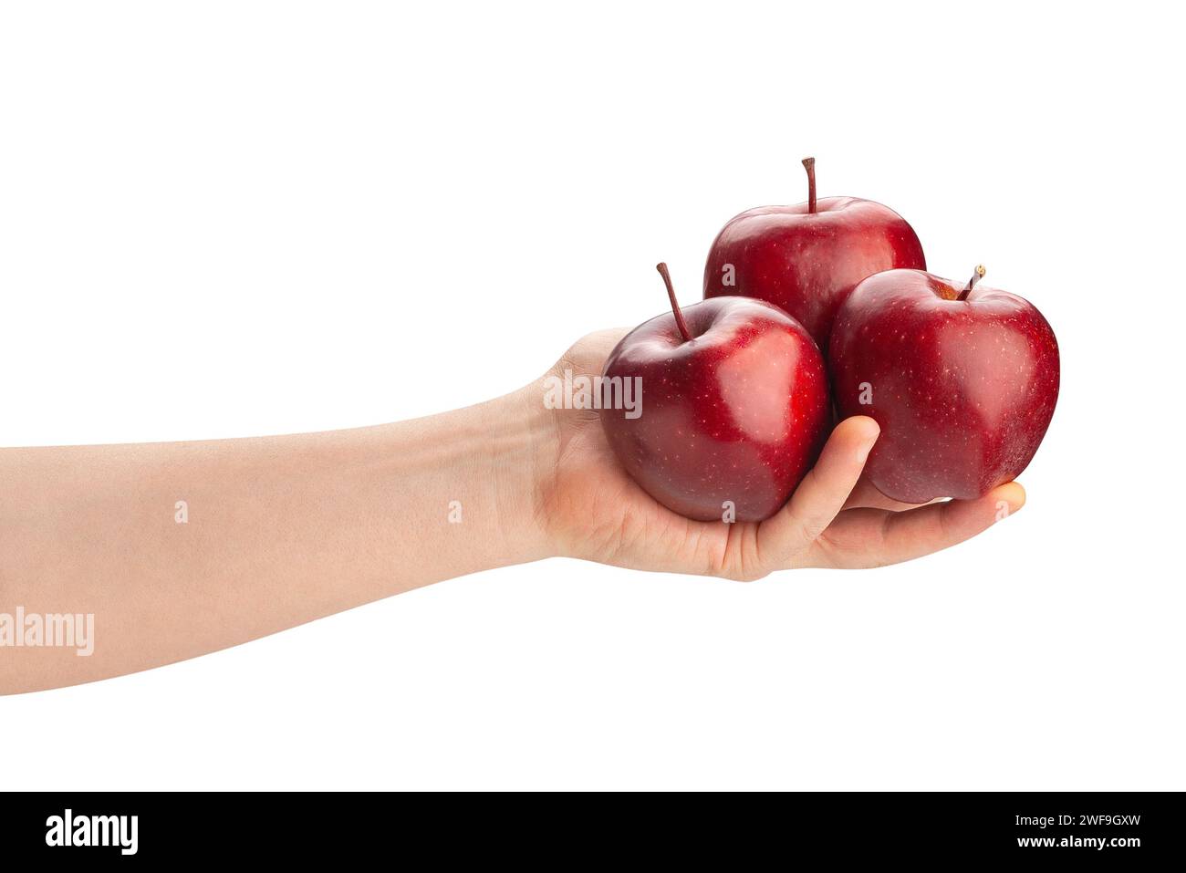 red delicious apple in hand path isolated on white Stock Photo