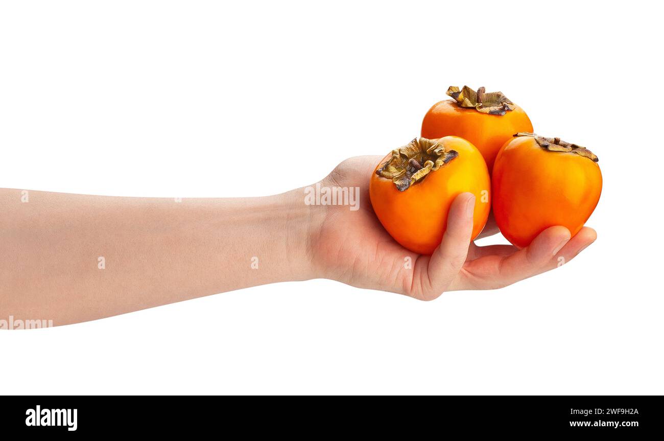 persimmon in hand path isolated on white Stock Photo