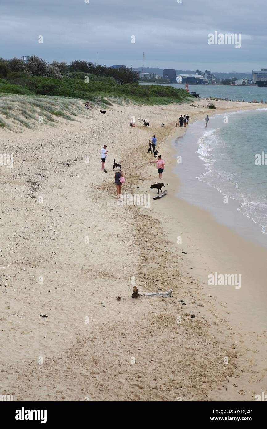 Horseshoe dog beach hires stock photography and images Alamy