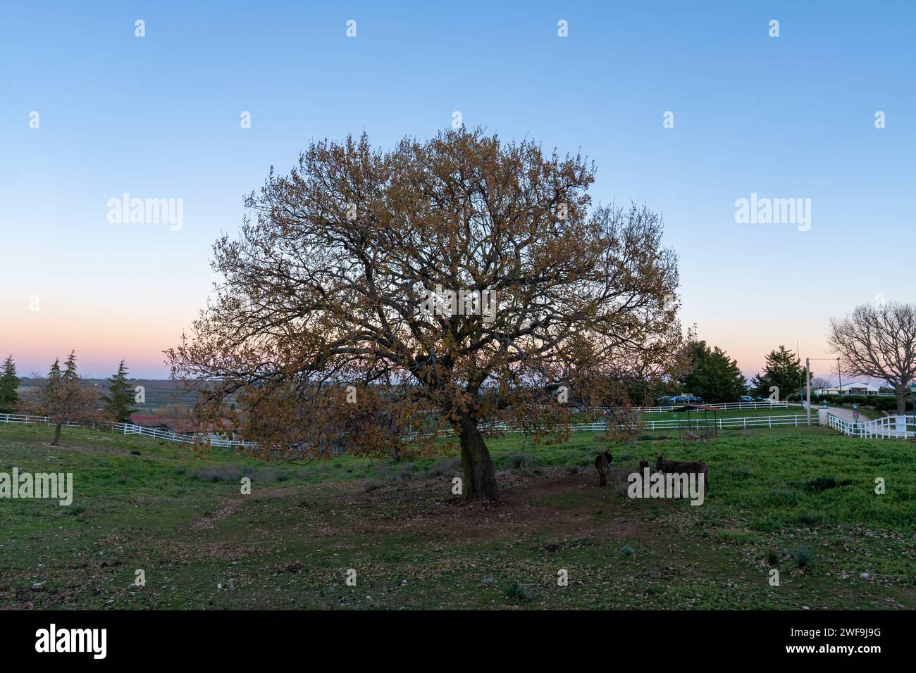 Paesaggi natura hi-res stock photography and images - Alamy