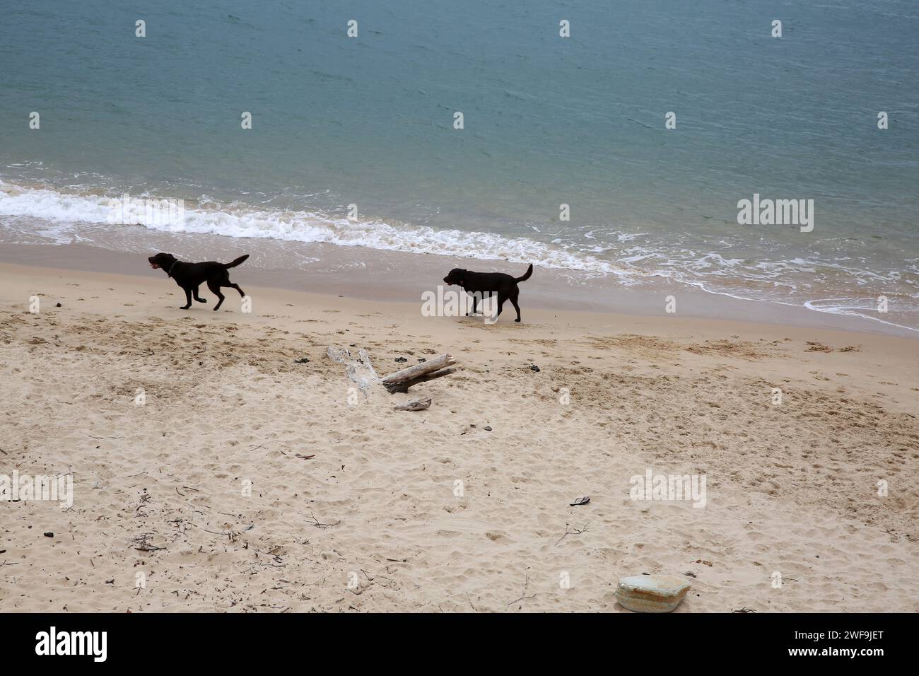 Horseshoe Dog Beach, Newcastle East, Australia Stock Photo