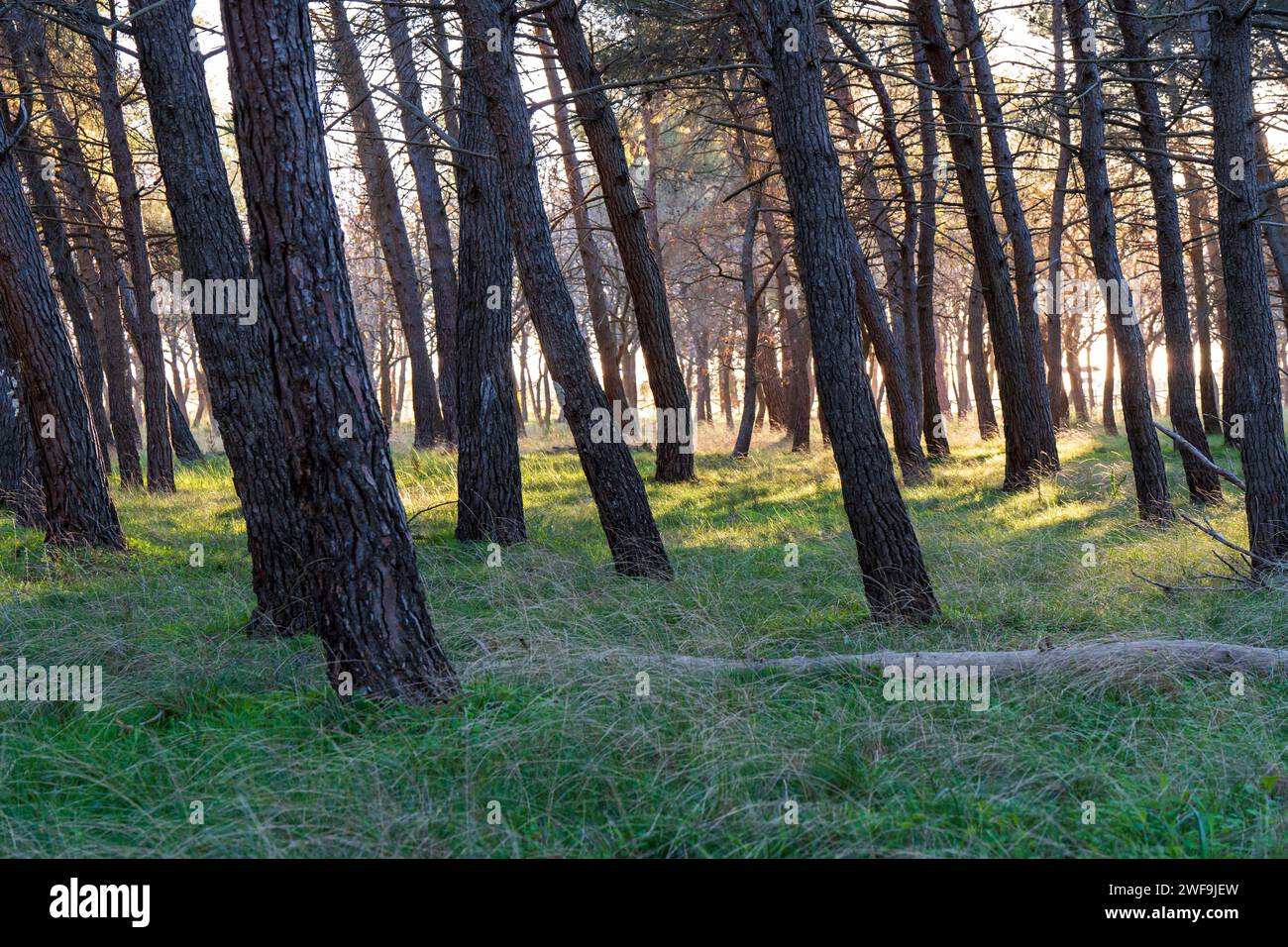Paesaggi natura hi-res stock photography and images - Alamy