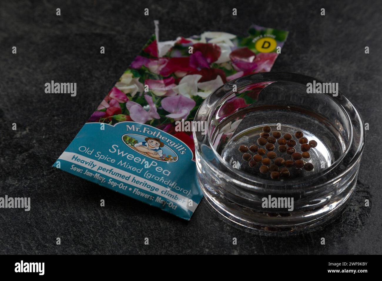 Sweet Pea seeds soaking in water (chitting) to help them germinate