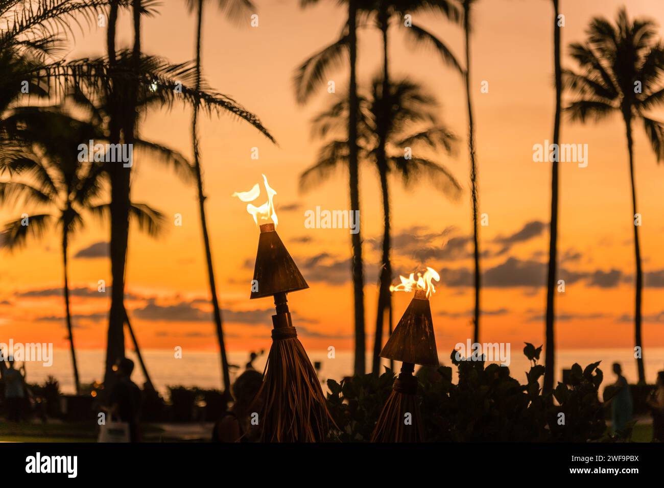 Palm trees at  beach in tropical location against brilliant orange sunset sky with burning torches in foreground. Stock Photo