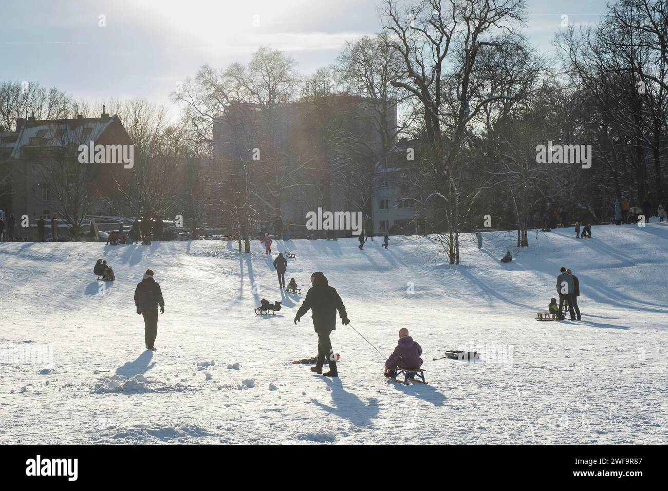 Winter landscape in the Nippeser Taelchen (Nippes valley) in the Nippes district of Cologne Stock Photo